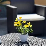 Gasthof Casa Michele 3*