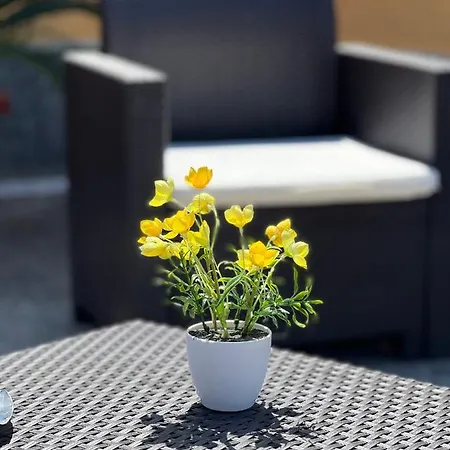 Pensjonat Casa Michele 3*